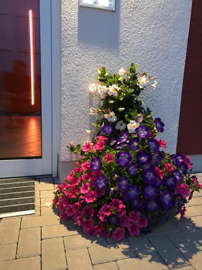 Ferienwohnungen am Feldrain - Gornau im Erzgebirge Zschopau Exterior foto